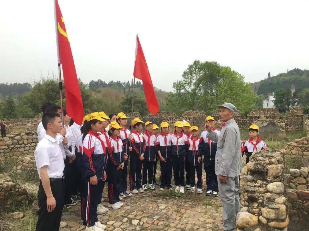 菠萝和凤梨的区别是什么?-最全面的红迪网平台